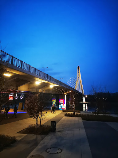 Skatepark under the Świętokrzyski bridge