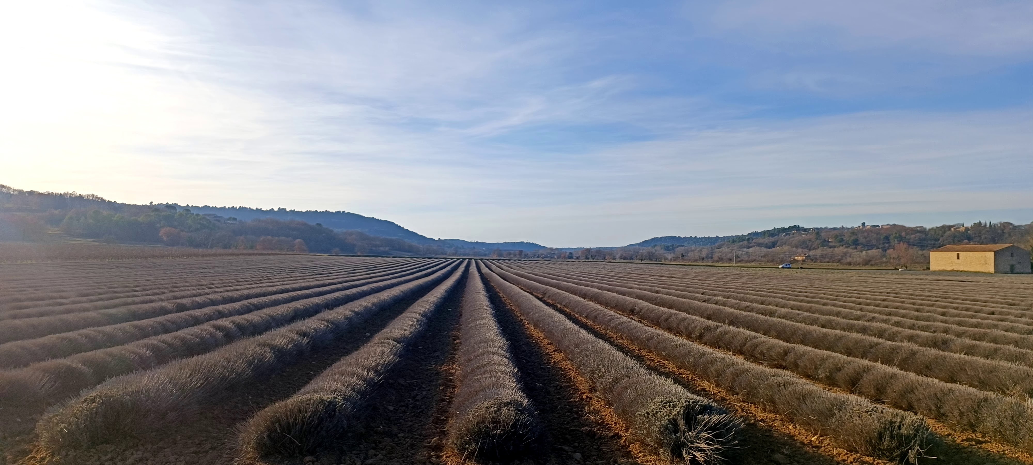 Photo n° 1 de l'avis de Barthélemy.e fait le 10/02/2024 à 11:29