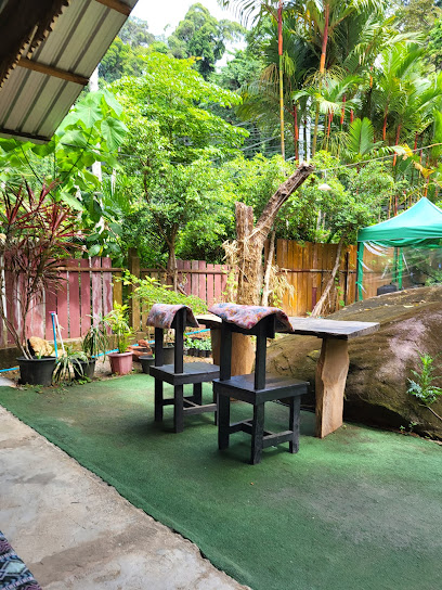 Sabaidee jungle Bar & Restaurant