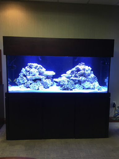 Tropical Fish Store «Aquarium Artisans», reviews and photos, 8005 Plainfield Rd #11, Cincinnati, OH 45236, USA