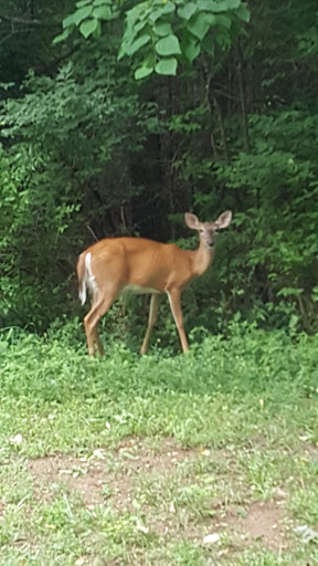 Park «Lee Victory Recreation Park», reviews and photos, 110 Sam Ridley Pkwy E, Smyrna, TN 37167, USA