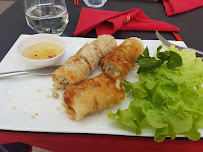 Rouleau de printemps du Restaurant vietnamien La Baie d Halong Denim à Nîmes - n°11