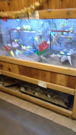 Pet Store «Critter Pet Shop», reviews and photos, 19309 Ecorse Rd, Allen Park, MI 48101, USA