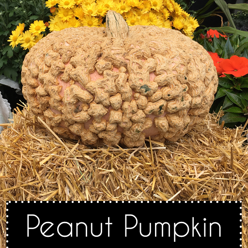 Florist «Nunan Florist & Greenhouses», reviews and photos, 269 Central St, Georgetown, MA 01833, USA