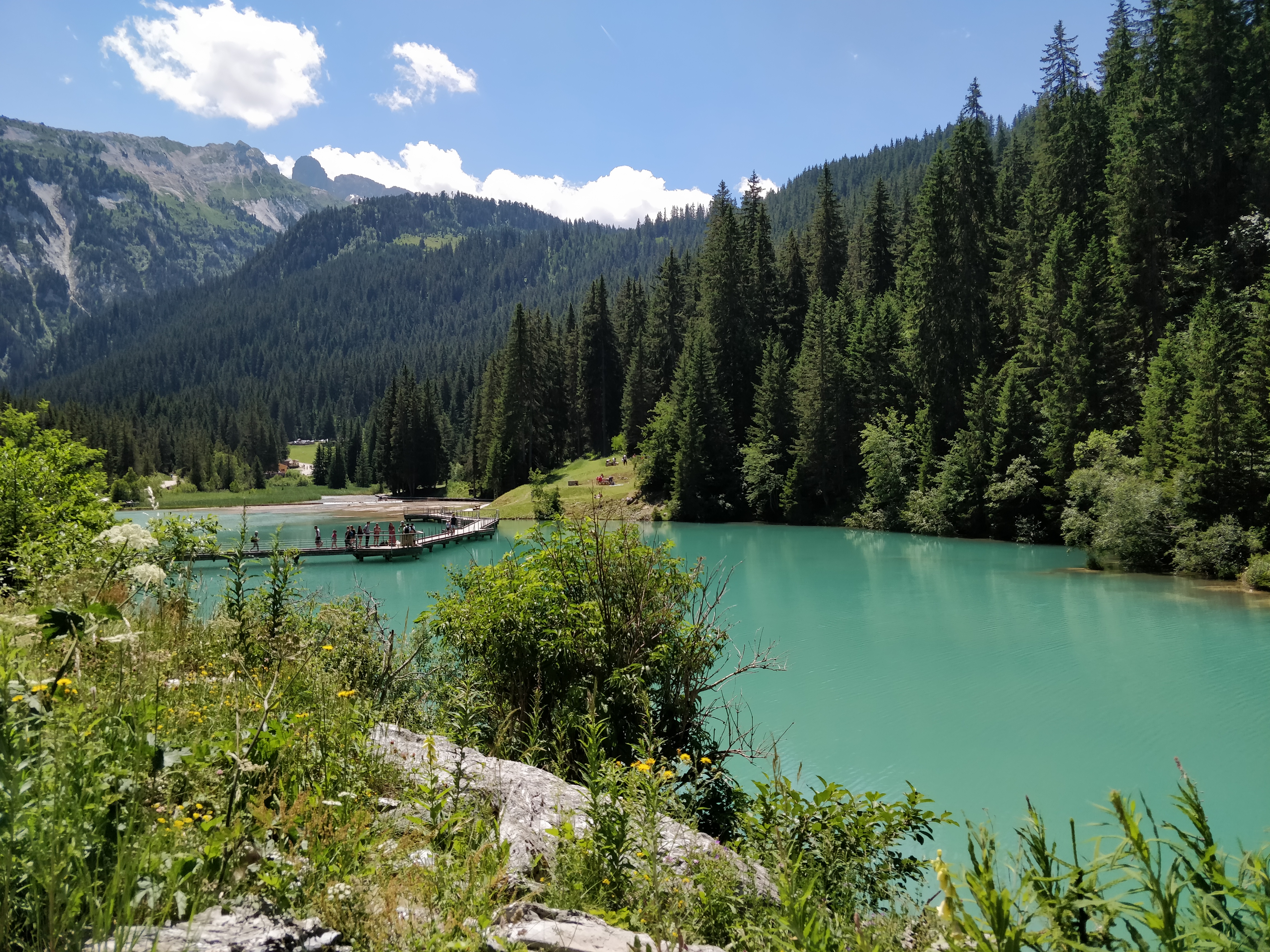 Photo n° 4 de l'avis de M.a fait le 21/07/2019 à 08:32