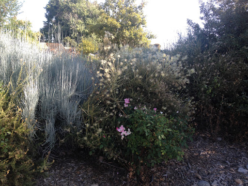 Nature Preserve «Majestic View Nature Center», reviews and photos, 7030 Garrison St, Arvada, CO 80004, USA
