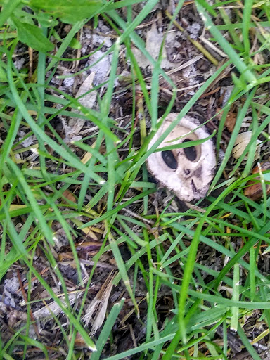 Park «Akin Riverside Park», reviews and photos, 1721 River Ave, Anoka, MN 55303, USA