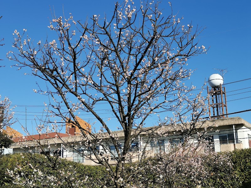 足立区立大谷田公園