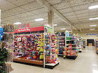 PetSmart - Photo 5 - Car repair in Lebanon, PA, Lancaster