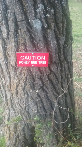 Historical Place «The Kernstown Battlefield», reviews and photos, 610 Battle Park Dr, Winchester, VA 22601, USA