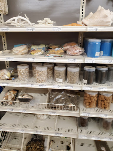 Craft Store «Michaels», reviews and photos, 2535 NE 10th Ct, Homestead, FL 33033, USA