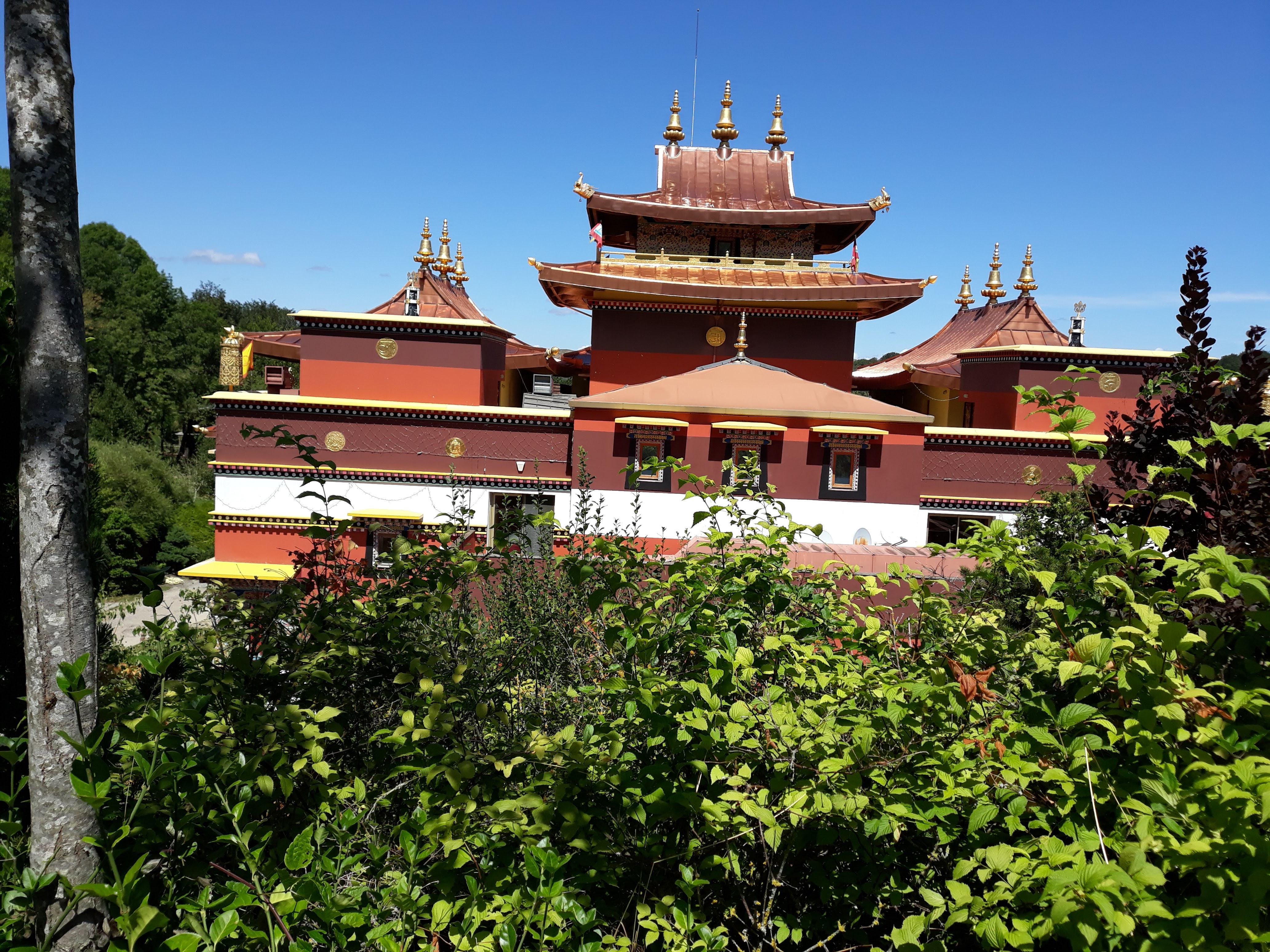 Photo n° 2 de l'avis de sandy.f fait le 04/09/2020 à 22:45