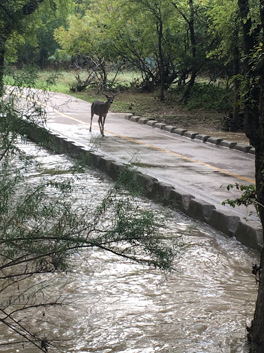 Park «O. P. Schnabel Park», reviews and photos, 9606 Bandera Rd, San Antonio, TX 78250, USA