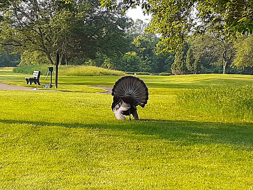 Public Golf Course «Rouge Park Golf Course», reviews and photos, 11701 Burt Rd, Detroit, MI 48228, USA