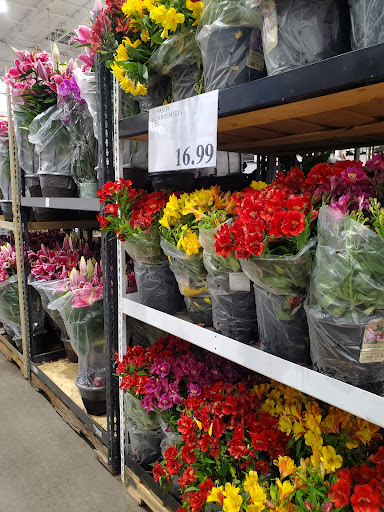 Warehouse store «Costco Wholesale», reviews and photos, 1600 Expo Pkwy, Sacramento, CA 95815, USA