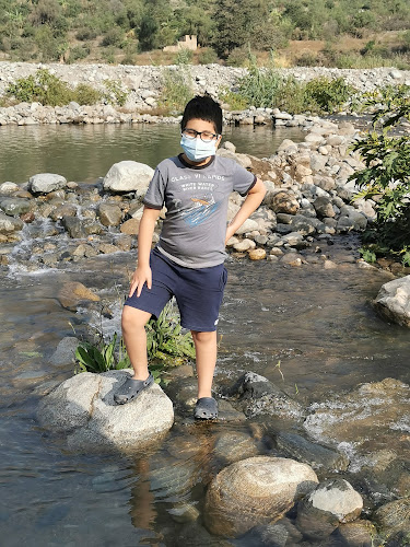 Comentarii opinii despre Camping "Los Ciruelos"