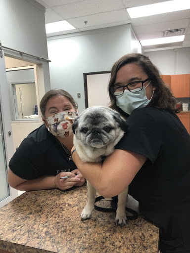 Hometown Veterinary Hospital image