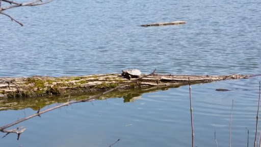 Recreation Center «Little Red Schoolhouse Nature Center», reviews and photos, 9800 Willow Springs Rd, Willow Springs, IL 60480, USA