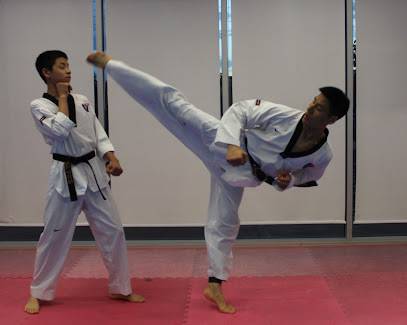 Taekwondo competition area