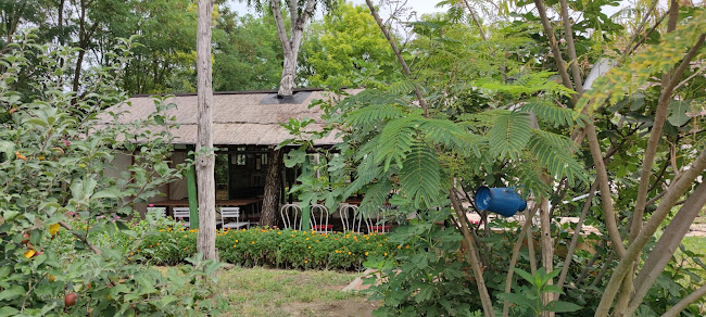 Opinii despre Piroska Vendégház în Székkutas - Szálloda