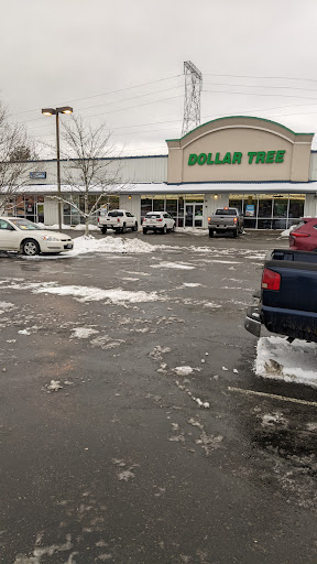 Dollar Store «Dollar Tree», reviews and photos, 301 E Wallace Kneeland Blvd, Shelton, WA 98584, USA