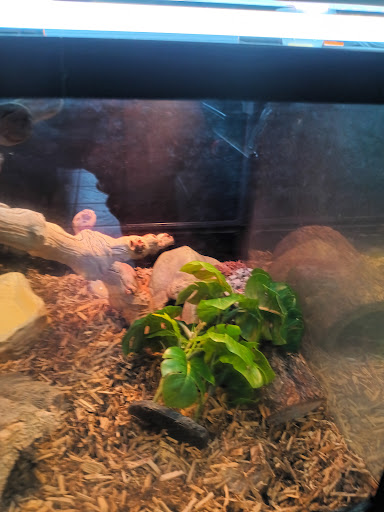 Pet Supply Store «House of Pets Inc», reviews and photos, 29500 Ford Rd, Garden City, MI 48135, USA