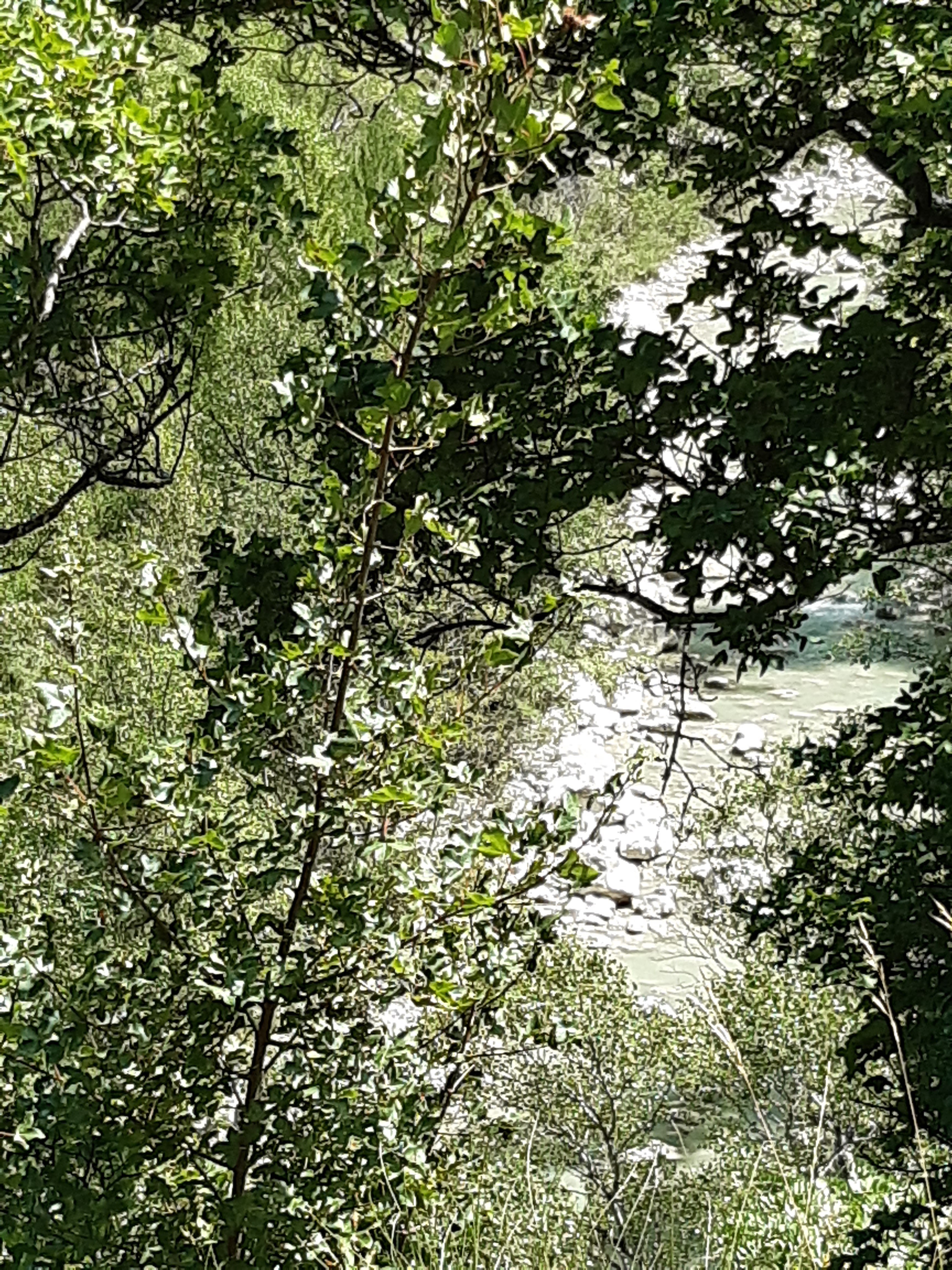 Photo n° 16 de l'avis de Sylvie.a fait le 21/07/2021 à 13:53