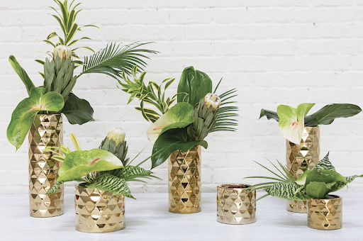 Wholesale Florist «Quality Wholesale Florist Supply», reviews and photos, 7074 NW 50th St, Miami, FL 33166, USA