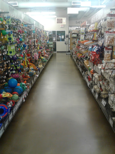 Pet Supply Store «Pet Supplies Plus», reviews and photos, 1030 Main St #10, Waltham, MA 02451, USA
