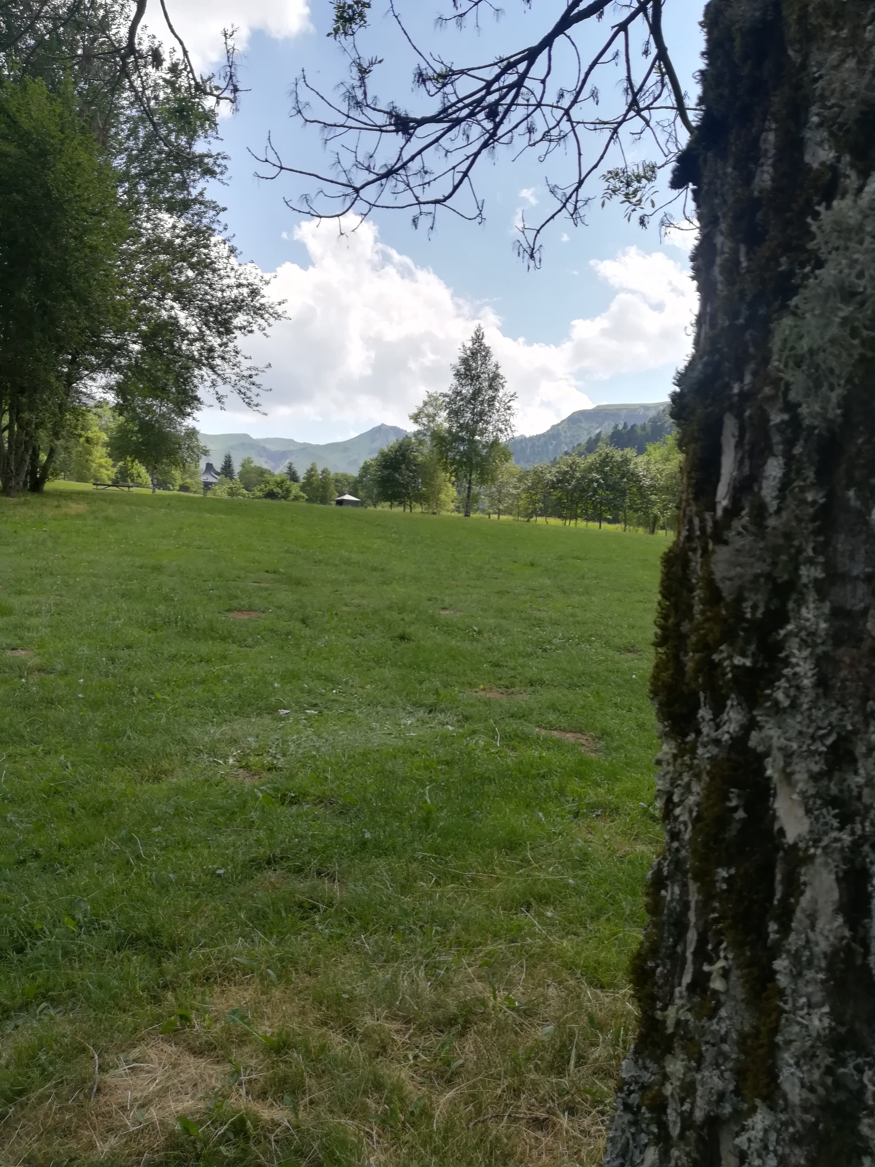 Photo n° 2 de l'avis de Cathy.a fait le 11/07/2019 à 09:30