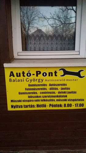 AutoPont pilisvörösvár - Autószerelő