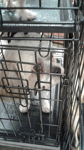 Pet Supply Store «PetSmart», reviews and photos, 1836 Joe Battle Blvd, El Paso, TX 79936, USA