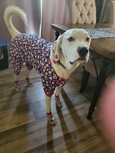 Pet Supply Store «Unleashed», reviews and photos, 1319 Military Cutoff Rd, Wilmington, NC 28405, USA