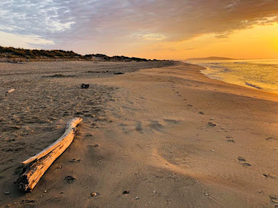 Terre Mer Soleil - Résidence Les ganivelles @Marseillan-plage à Marseillan