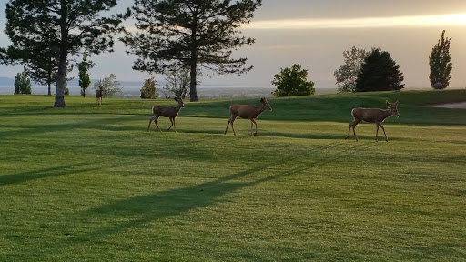 Golf Course «Valley View Golf Course», reviews and photos, 2501 E Gentile St, Layton, UT 84040, USA