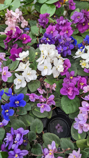 Florist «Metropolitan Plant & Flower», reviews and photos, 840 NJ-17, Paramus, NJ 07652, USA