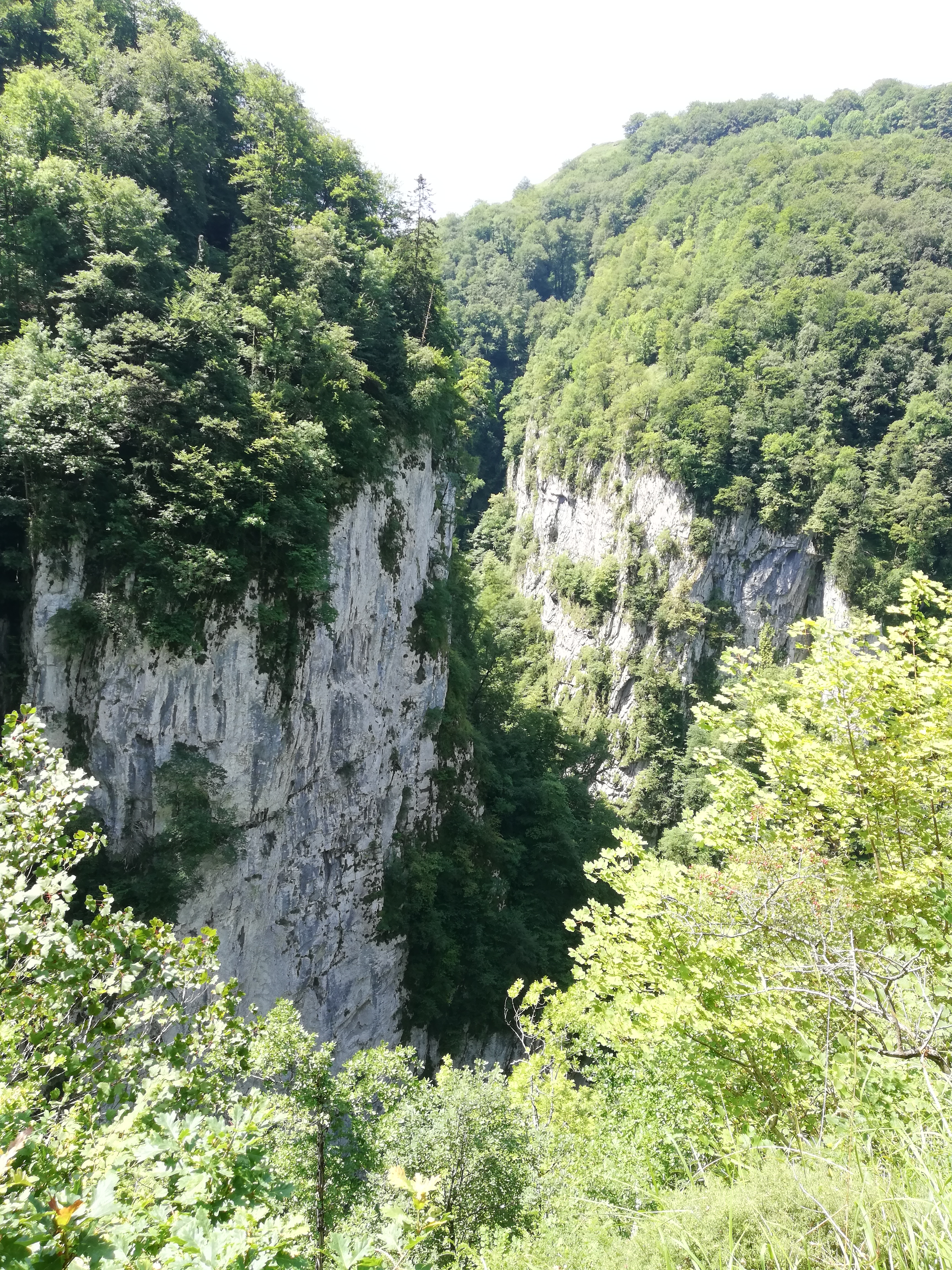Photo n° 4 de l'avis de trucs.t fait le 22/07/2020 à 19:14