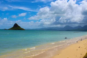 Discover Hawaii Tours image