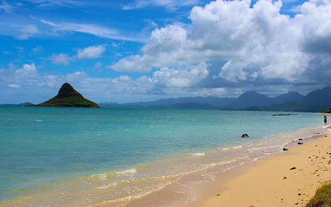 Discover Hawaii Tours image