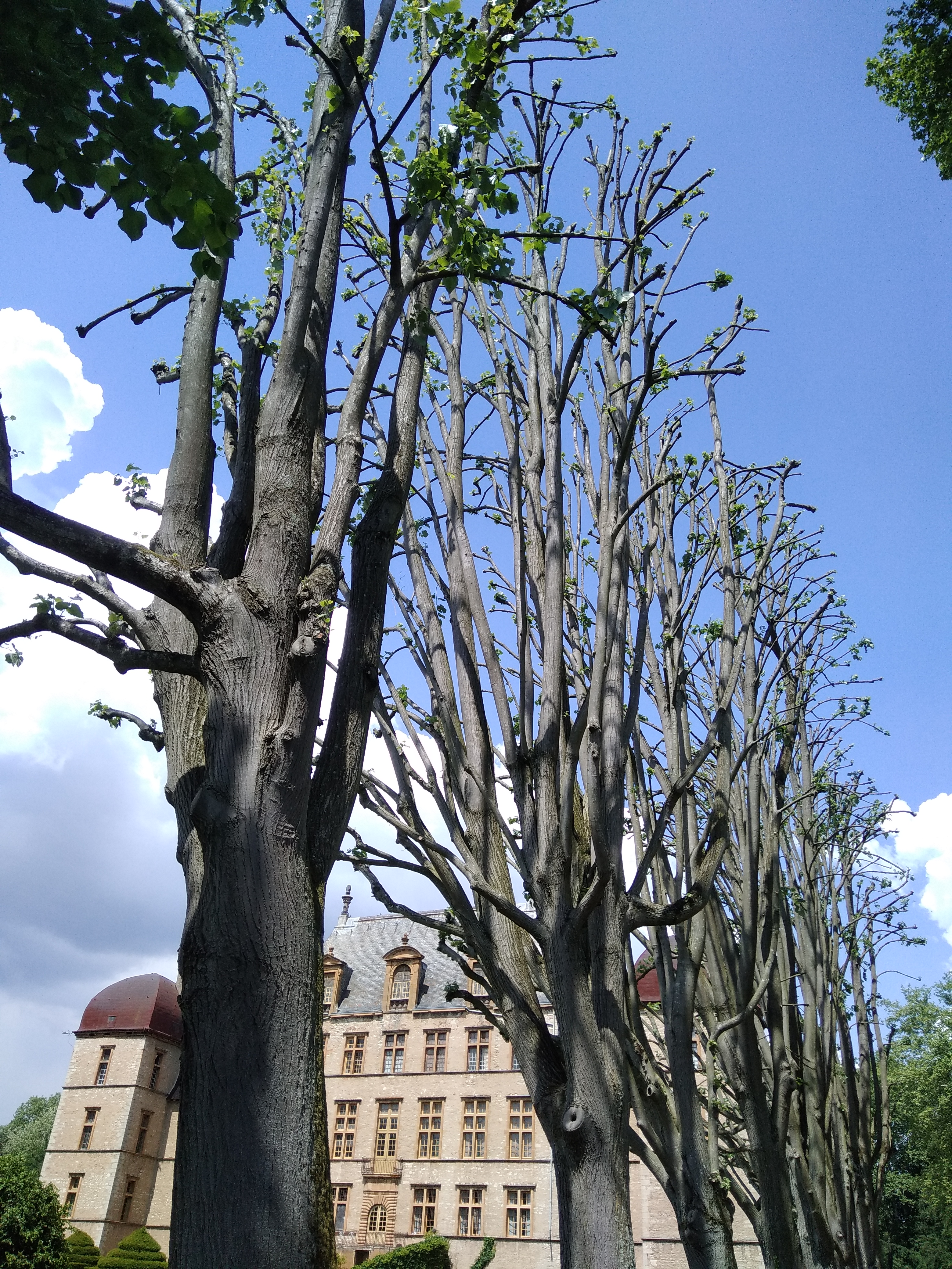 Photo n° 19 de l'avis de Rafaël. fait le 08/05/2018 à 11:48