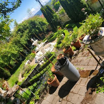 DOVE LANDSCAPING - Photo 9 - Car repair in , Tacoma