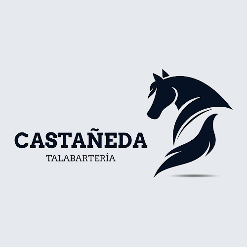 Opiniones de Talabarteria Castañeda en Pillaro - Centro comercial