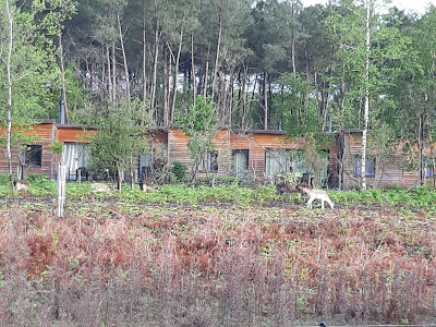 Cottage 658 à Les Trois-Moutiers