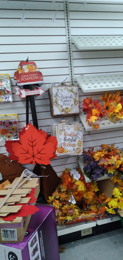 Dollar Store «Dollar Tree», reviews and photos, 28050 Walker South Rd, Walker, LA 70785, USA