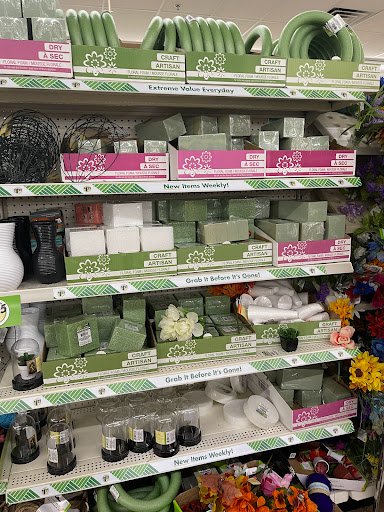 Dollar Store «Dollar Tree», reviews and photos, 22-03 Fair Lawn Ave, Fair Lawn, NJ 07410, USA