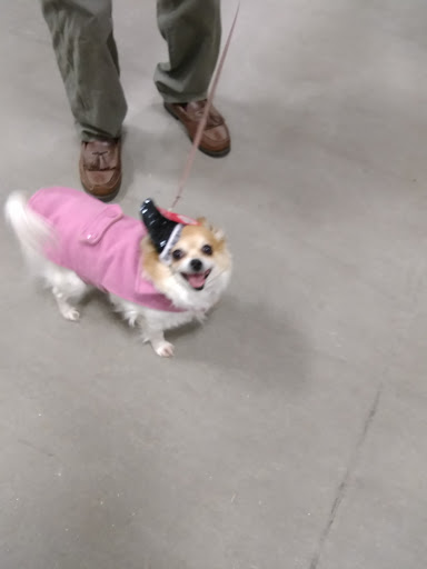 Pet Supply Store «PetSmart», reviews and photos, 475 Bank St, Waterbury, CT 06708, USA