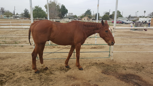 Hickarosa Stables