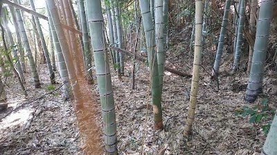 山上城跡