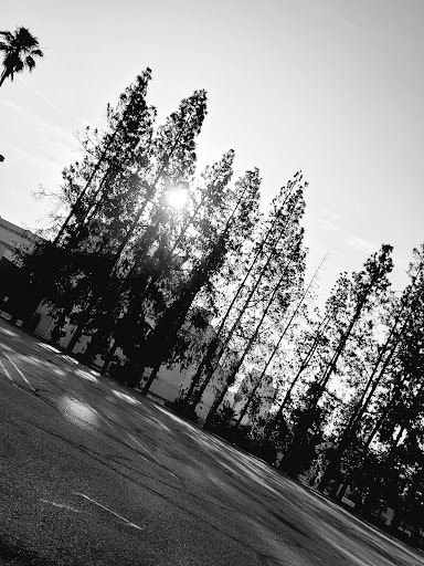 Shopping Mall «Carousel Mall», reviews and photos, 295 Carousel Mall, San Bernardino, CA 92401, USA