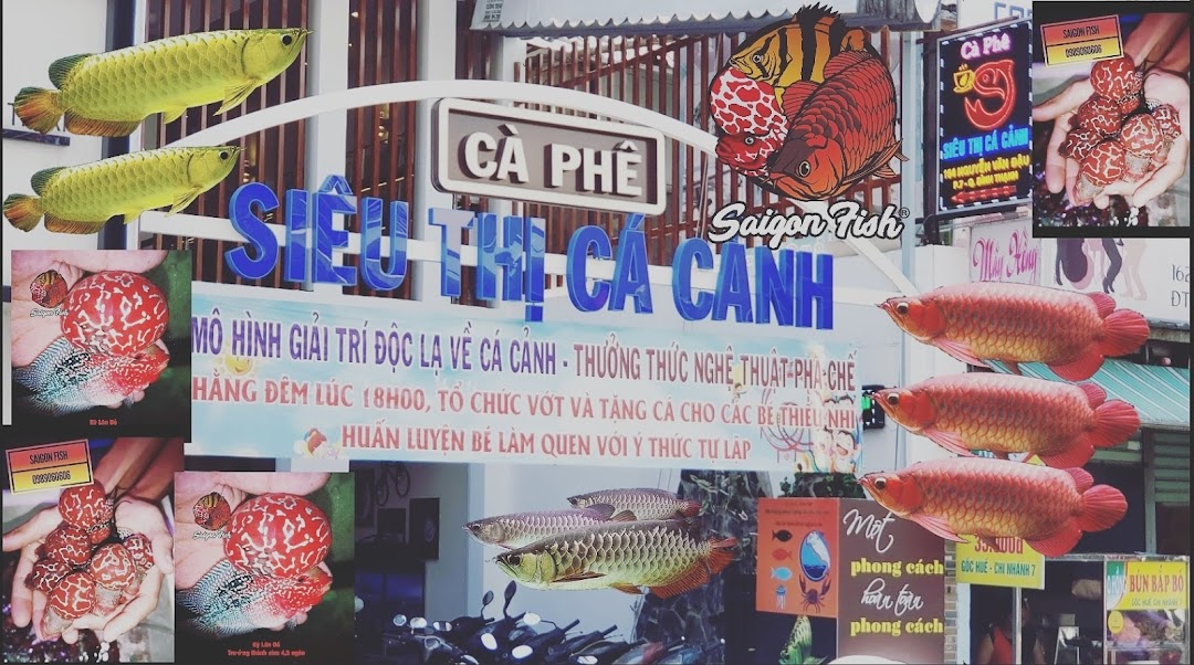 Cá Cảnh Saigon Fish